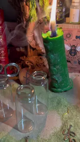 #witchtok #witch #укрвічток #відьма #ворожка #трави