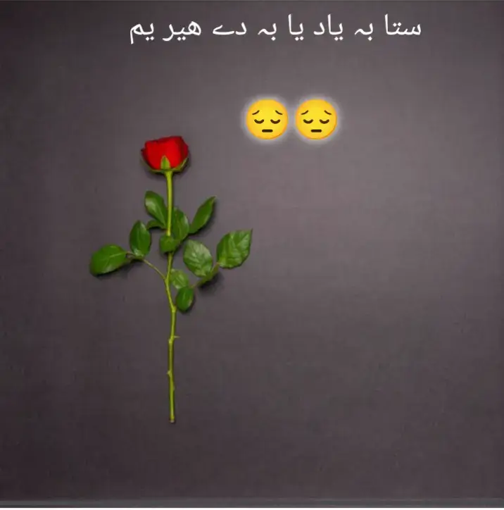 che khpl janan pa se pa chagho 😭😭 #viewsproblem #foryou #faryourpage #unfreezmyaccout 