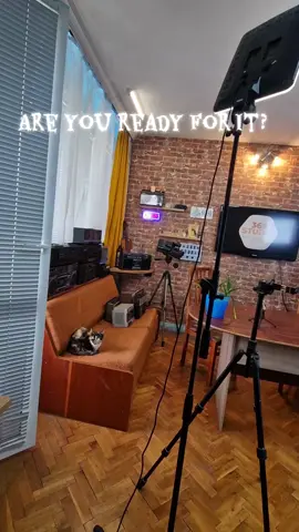 #cast #похапка #369studio #кошастаа #милинките 