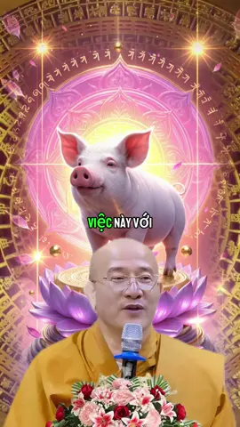 Hãy cẩn thận đừng làm 4 việc này với người tuổi Hợi #tuoihoi #congiapmayman #phongthuytamlinh #maymantailoc🍀☘️ #vongtayphongthuy 