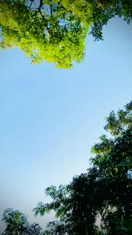 ❤️‍🩹Asta ketaboona mekhada ❤️‍🩹@👑𝐌𝐮𝐧𝐞𝐞𝐛 𝐊𝐡𝐚𝐧👑❤ @꧁𓊈𒆜🅳🆄🆁🆁🅰🅽🅸𒆜𓊉꧂ 