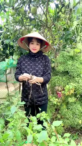 Hope this video and audio will help you feel comfortable to start your day.#xuhuongtiktok #việtnam🇻🇳💪 #sunflower #cat #cat 