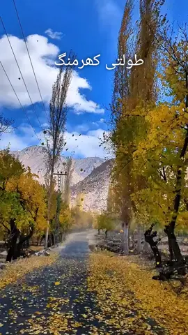 Tolti  #autumn #viral #fyp #asthetic #astheticvibes 