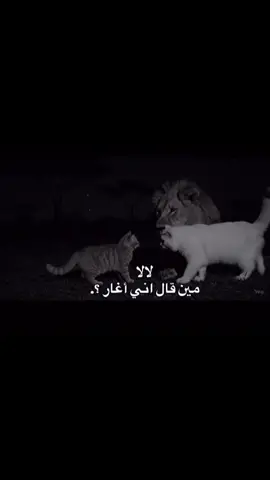 اييي اغارر💔#اغار #حب #مجرد________ذووووووق🎶🎵💞 #هاشتاق #هههههههههههههههههههههههههههههههههههههه 
