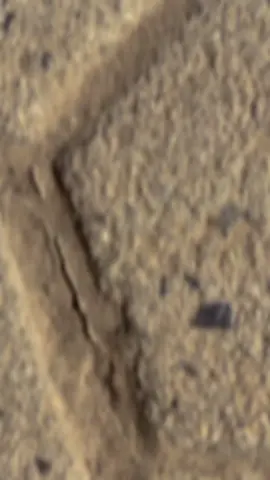 #viraltiktok #foryou #foryoupage 