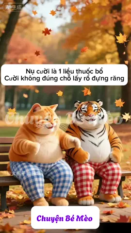 #cat #meow #haihuoc #giaitri #vuinhon 