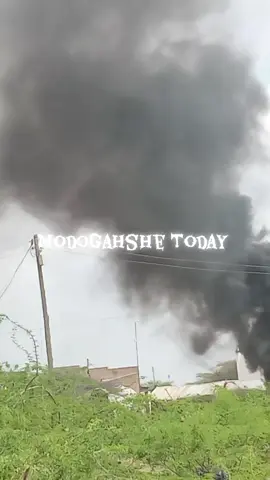 #somalitiktok #borana#cup 