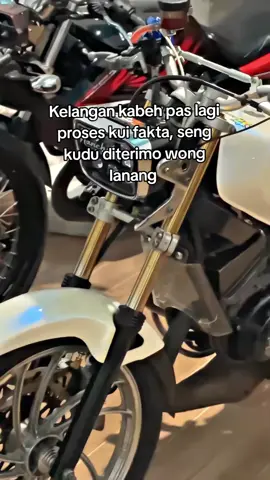 #ninjass #twostroke #2stroke #kingblayer