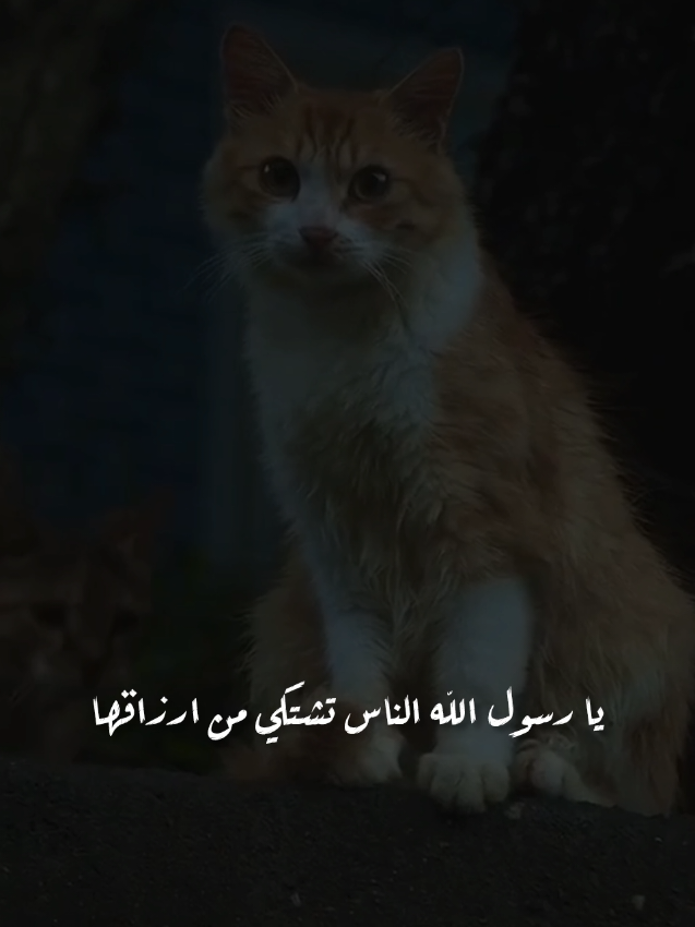 يا رسول الله....🖤😔 #allah #muslim #ستوريات #خواطر #تيك_توك_ 