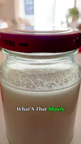 Would You Try This Living Porridge?
 #fermentation #food #rice #fyp #foryou 