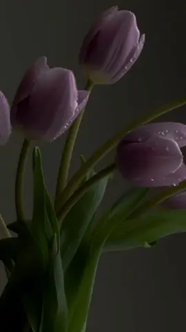 الله يُحب عباده الطيبين، فإذا أحب عبدًا نبّهه.. قد يبتليه، قد يضيق عليه دنياه، لا كرهًا.. بل رحمةً، حتى يعود إلى الطريق الصحيح. ❤🌹