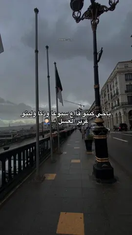 كانو قااع سبوعا ودك ولاو غرير العسل 🦨😂 ……………………………………………………………………………………………………… #zodyak160 #tiktokviral #trend #غرير_العسل #dzpower 