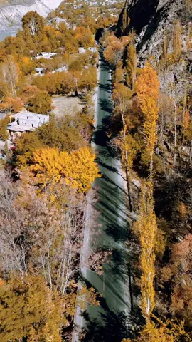 Colors of Autumn 🍂  #CapCut #fyp #viral #pageforyou #nature #nagar #nagarvalley #colors #autumn #gilgitbaltistan 