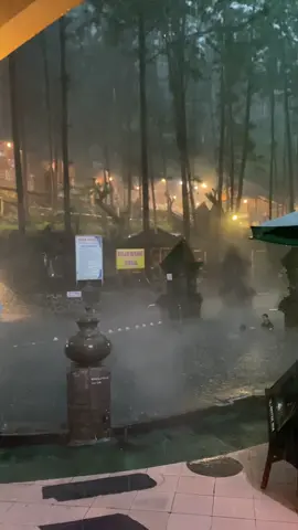 #guci #guciforest #guciforesttegal 