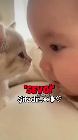 Sevgi Şifadır... #Allah❤️ #Sevgi  #pypシ #♡ #sözler 