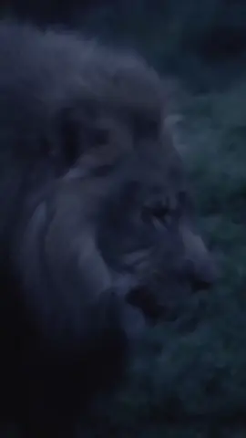 #السلام_عليكم_ورحمة_الله_وبركاته 