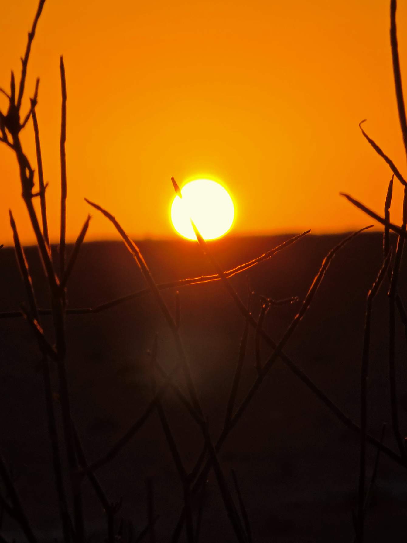 Sunset 🌅✨ #sky #colors #beauty #nature #evening 