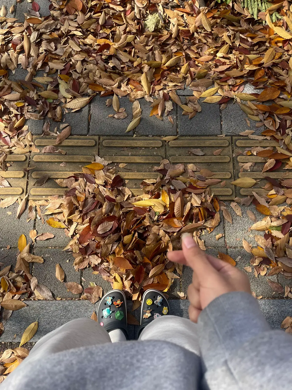 Mùa thu đầu tiên ở 🇰🇷 #유학생🇰🇷🇻🇳 #duhocsinhhanquoc 