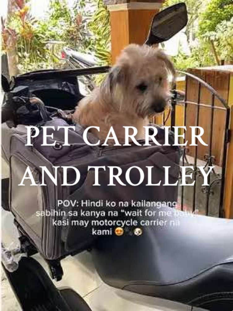 Dahil sa pet carrier bag and trolley na ‘to from @doogo lagi nang kasama si baby kahit san kami magpunta. Convertible rin sya into motorcycle carrier. Oh di ba, multifunctional? #carrier #petcarrier #pettrolley #motorcyclecarrier #doogo 