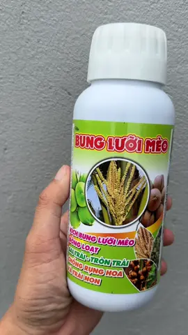 Sản phẩm chuyên dụng cho dừa, Siêu chai chuyên Kích bung lưởi mèo, giúp dừa ra bông, đậu trái, chống rụng trái non dừa #dua #dautrai #chongrungtrainon #bungluoimeo @Cây trồng Duy Ngọc  @Cây trồng Duy Ngọc  @Cây trồng Duy Ngọc 