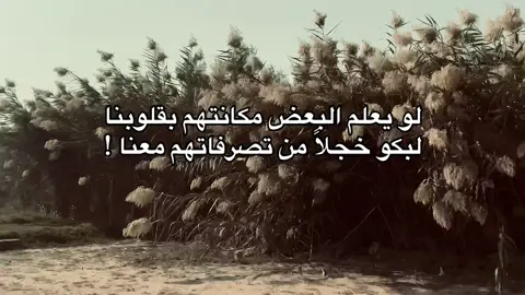 لو يعلم البعض مكانتهم بقلوبنا  لبكو خجلاً من تصرفاتهم معنا ! #عزام_الشمري #شعراء_وذواقين_الشعر_الشعبي #النورات_ناحيه_القياره_جنوب_الموصل #امير_گياره🖤✨ #امير_گيارة 