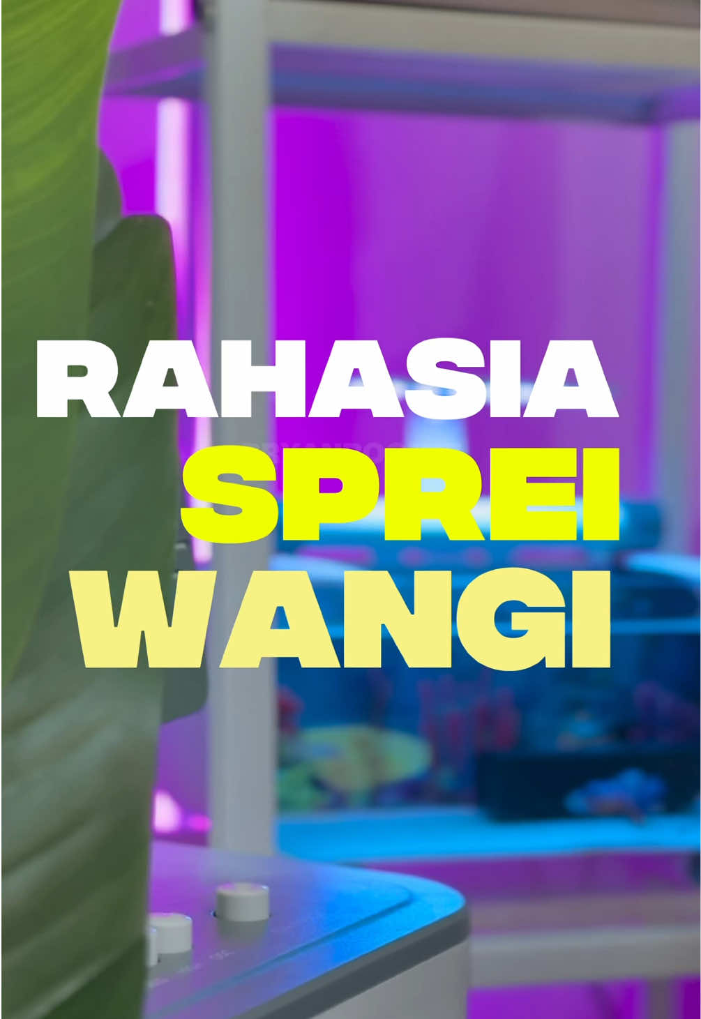 ✨ Rahasia tidur biar lebih nyenyak pakai linen spray aja guys  🙌🏻 #linenspray #pengharumruangan #pengharumkamar #pengharum #pengharumsprei 