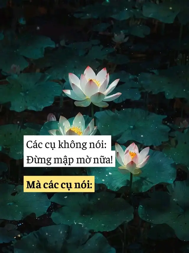 có yêu thì nói rằng yêu #caiaoduyen #vanvo #langquevietnam #truyenviet #tieuthuyet 