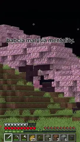 Sagi vs BabciaMarysia  #babciamarysia #anarchiasmp #assassinek #sagi 