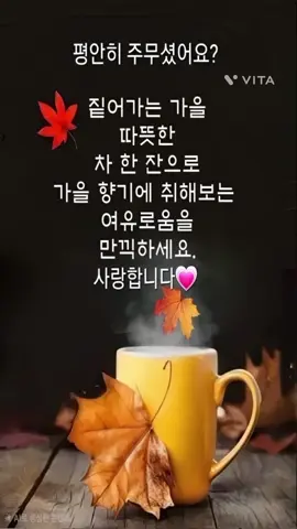 그얼굴의햇살#사계절나그네커버