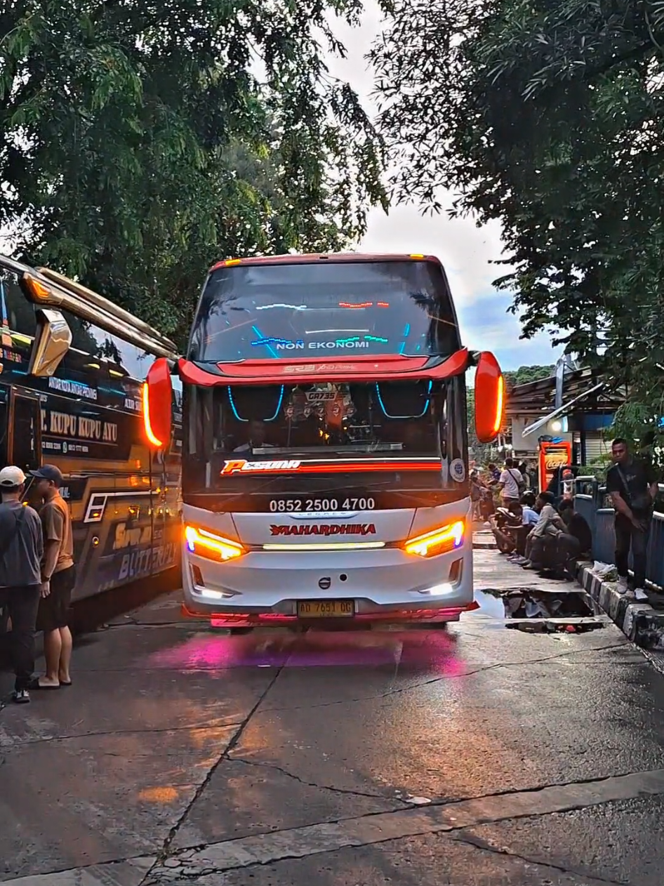 pemain baru dan premium wonogiri #mahardhika #sumberjayamakmur #videobus #busmaniacommunity #fyp 