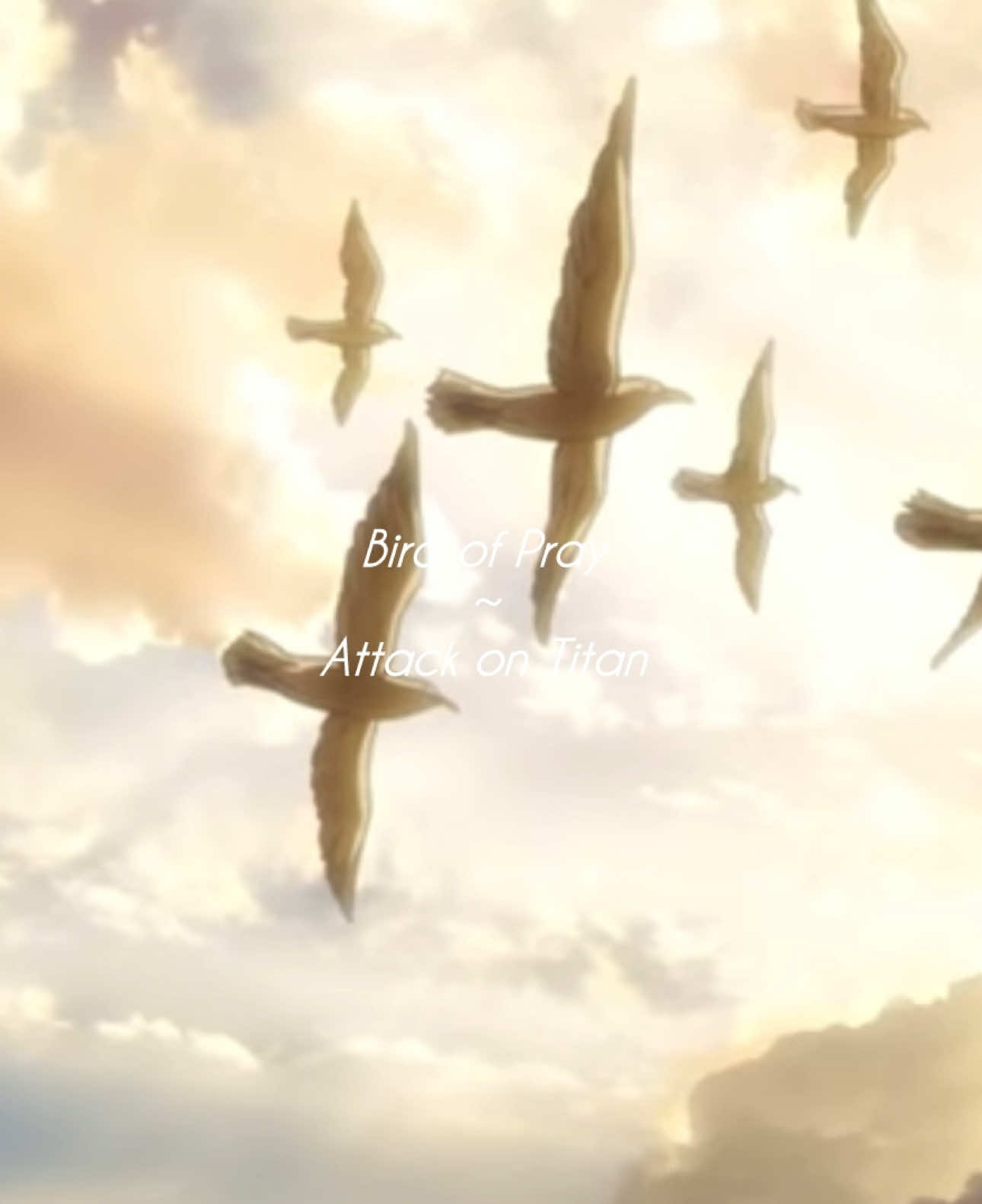 Part 1 🕊️✨  Do you imagine these songs as soundtracks? Write in comments your options and we will add them to next part!  #ziferblat #ziferblatsubs #ziferblatband #zefirky #ziferblatsong #soundtrack #opening #fyp 