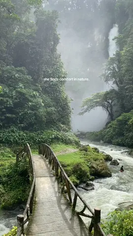 Nature heals 🥺🍃 #fyp #roadtrip #nature #life #dnd 