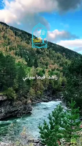 هل جلست العصر مثلي بين جفنات العنب والعناقيد تدلت كثريات الذهب #اعطني_الناي_وغني #فيروز #فيروزيات #فيروزيات_الصباح 