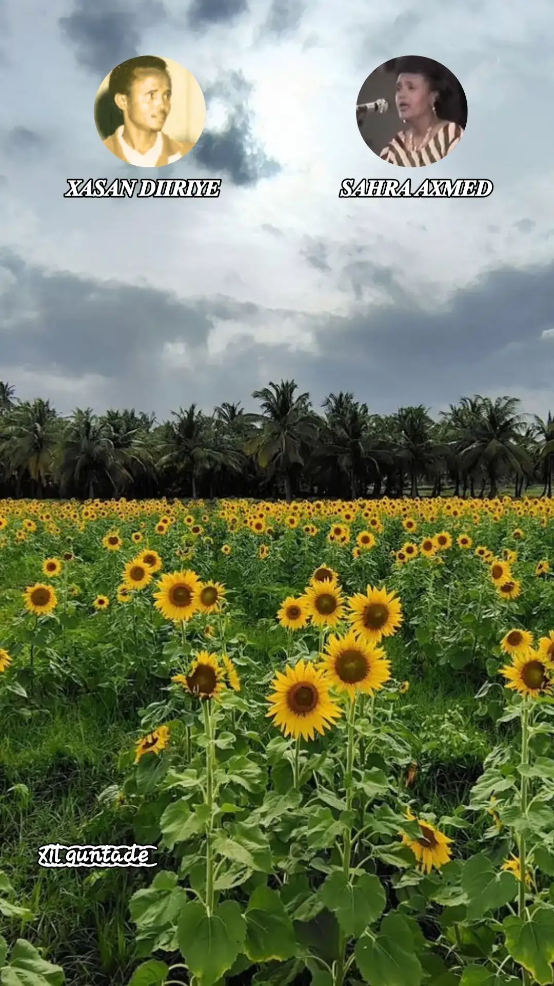 #xil_guntade #somalitiktok #muqdishotiktok🇸🇴🇸🇴❤ #somalitiktok2023🇸🇴🇸🇴😍❤️ #somalitiktok12 