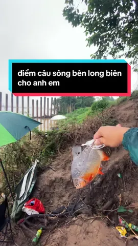 điểm câu đa dạng cá cho anh em long biên ....  #caucagiaitri #caucatunhien #bietdoisanhang #diemcauca #cancaudai 