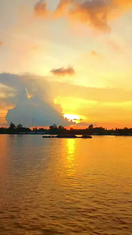 Chiều Quê đẹp quá nèk 🥰#mientay #xuhuongtiktok #xuhuongtiktok2025 #canhdep #hoanghon 