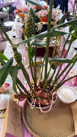 Cô dâu bắt tren củng nhanh 🥴#anhnongdan #71bentre_xinchao🌴 #mientayquetoi 