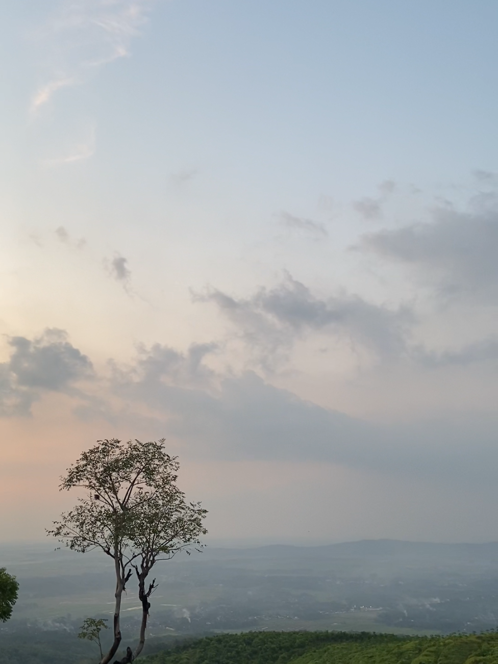 angkringan dengan view perbukitan😍#pekalongan #bukitbintang #linggoasripekalongan #lfl #angkringan 