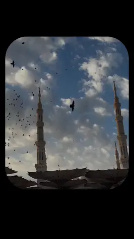 Ae kaash 🥹🥹🥹🥹🥹#islamic_video #foryoupage #viral #foryou #fyppppppppppppppppppppppp 