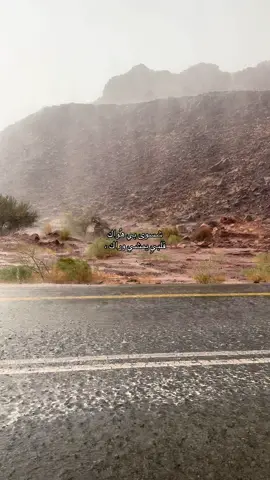 #wedding #tabuk #quranrecitation #ماجد_المهندس #viral 