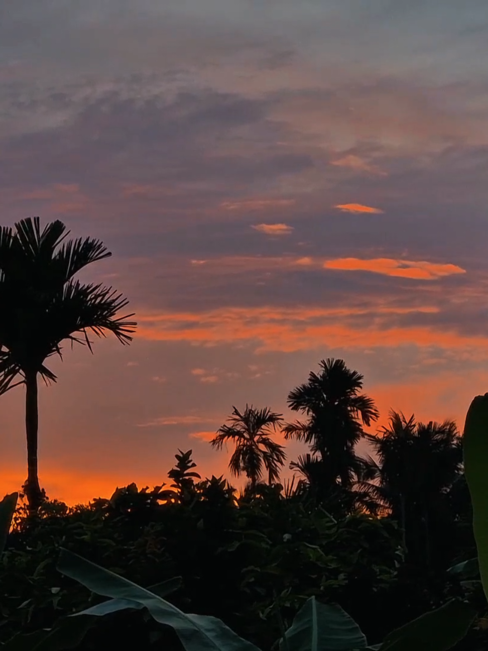 #canhchillvungque🌾 #binhyen #chupanhmienque #caixackhonghon #