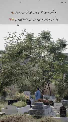 Log us jasy kaha milty hai insno ma😭😭😭❤️‍🩹#foryou #urdupoetry #today#missyoumamujan😭😭😭 #aliyanakram74 