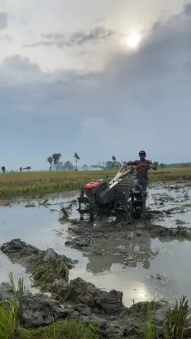 kolam mak🤕#petaniindonesia🇮🇩🇮🇩🇮🇩🌿🌿 #fy #fypシ゚viral🖤tiktok #petanimuda 