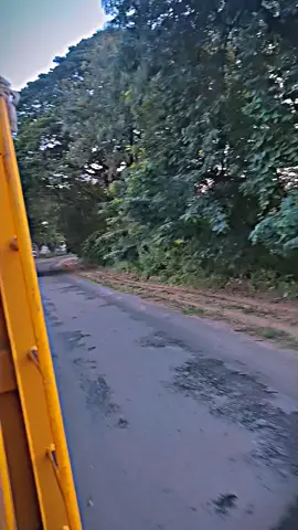 😝😝#ရွှေညီကို🍒🍊 