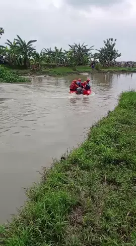 kepada Yth : 1.Bupati Demak 2.wakil Bupati demak 3.Sekretaris Daerah kab. Demak KEJADIAN ORANG KALAP  SAAT MENCUCI TERPAL DI SUNGAI AFUR KANAL LOR, DESA GENENG, KEC. MIJEN KAB. DEMAK*  Selamat Siang Komandan, Mohon Ijin melaporkan : *Kejadian Orang Tenggelam Saat Membersihkan Terpal Kandang Ayam di Sungai Afur Kanal Lor, Desa Geneng, Kec. Mijen, Kab. Demak* ➡️ WAKTU KEJADIAN Diketahui pada hari Minggu tanggal 9 November 2025, Kurang lebih pukul 11.30 WIB. ➡️ TEMPAT KEJADIAN :  Sungai Afur, Desa Geneng, Kec. Mijen, Kab. Demak. ➡️ KORBAN :  - Nama              : Imam Wahyudi Bin Sayugi - Umur               : 22 Tahun - Jenis Kelamin : Laki -laki - Pekerjaan        : Swasta - Alamat             : Desa Geneng RT 5 RW 3 Kecamatan Mijen, Kabupaten Demak. ➡️ SAKSI - SAKSI 1. NAMA     : Sutopo Bin Jumadi (alm)        Usia         :  60 Tahun         Pekerjaan : Swasta        Alamat      : Desa Geneng RT 7 RW 3, Kecamatan Mijen, Kabupaten Demak. 2. NAMA    : Trio Bimantoro Bin Suparno        Usia        : 30 Tahun        Pekerjaan : Swasta         Alamat      : Desa Geneng RT 7 RW 1, Kecamatan Mijen, Kabupaten Demak. ➡️ KRONOLOGI KEJADIAN - Sekira Pukul 09.00 korban ikut kerja membersihkan terpal kandang ayam di sungai afur / kanal lor desa geneng rt 1 rw 1 milik saudara bayu sasono aji saputro, sekira pukul 11.30 Wib Saksi I ( Satu ) dan Saksi II ( Dua ) sudah menepi ke tepi sungai untuk istirahat, kemudian saksi 1 sudah memanggil korban untuk diajak menepi tetapi korban masih berenang ditengah sungai karena arus deras korban kelelahan terseret arus kurang lebih sekitar 100 meter dari korban mencuci terpal, ketika saksi 1 dan 2 melihat korban terseret arus sungai kemudian berusaha memberikan pertolongan dengan membentangkan terpal tetapi korban tidak bisa tertolong  kemudian saksi 1 dan 2 melaporkan ke perangkat desa  diteruskan ke polsek dan koramil  dan sampai saat ini tim dari bpbd dan polsek beserta koramil masih melakukan pencarian korban.  - upaya yang di lakukan :      koordinasi dengan pihak terkait BPBD kab. Demak, polsek, koramil, pemdes desa geneng.  Demikian yang dapat kami laporkan, Terima kasih.  Dump.  Tembusan kepada yth :  1. Ka. Pelaksana BPBD Demak 2. Ka. Dinsos P2PA Demak 3. Ketua PMI Demak 4. Ketua BAZNAS   6. Arsip.