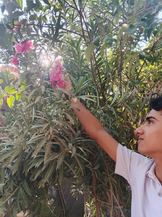 . .  .  .  .  .  .  .  .  . . . . . . . . . . . .  .  .  .  .  .  .  .  . 