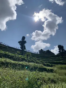 Jindagi var chata rahunga.