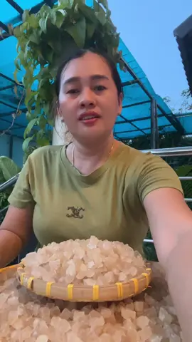 Mủ trôm loại trắng sạch uống thanh lọc cho cả gia đình tốt cho sức khỏe #mutromphanrang #mutromsach #xuhuong #xuhuongtiktok 