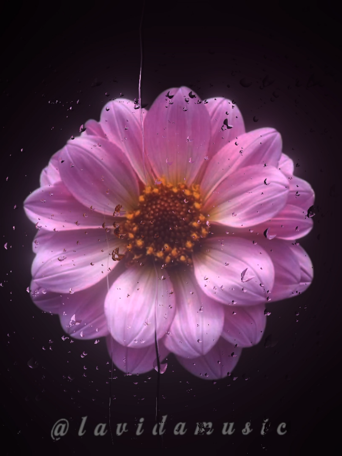 Style #lyrics #songs #music 