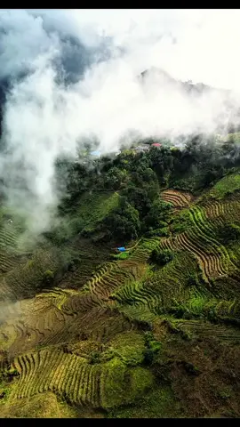 Ngôi làng ẩn hiện trong sương chiều đẹp mê tây bắc #doanducthuan #travel #shorts 